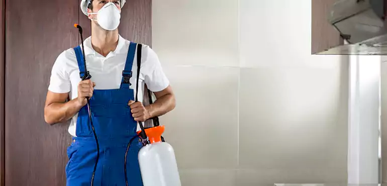 Why San Antonio Homeowners Choose Us When Pests Make Selling Difficult
