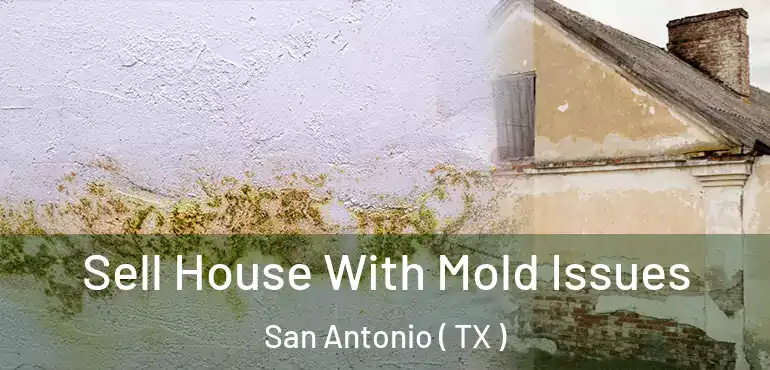  Sell House With Mold Issues San Antonio ( TX )